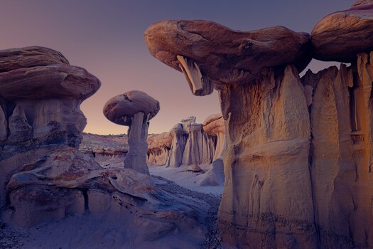 Image "Stone Mushroom" by Juergen M Zeidler