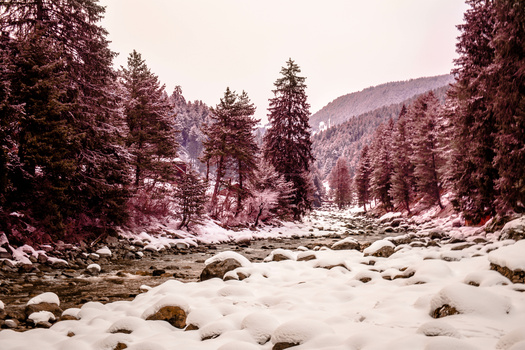 Image "kashmir" by Azzy Saiyed