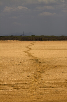 Image "Walking in the Desert" by Gabriel Cusmir Cúneo