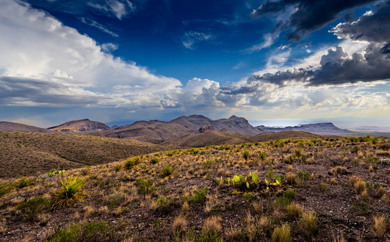 Image "Texas desert" by Christopher B. Merritt