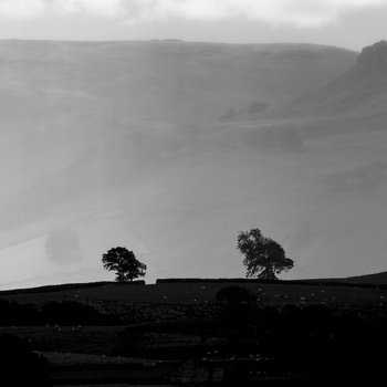 View Untitled 5 by Christian Marois
