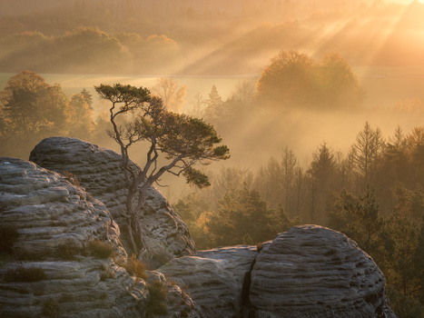 View Untitled 5 by Nils Steiner