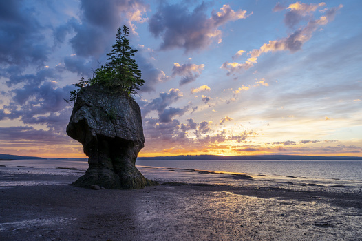 View Bay of Fundy Sunrise - Hopewell Cape, NB - Canada by Jason Lorette