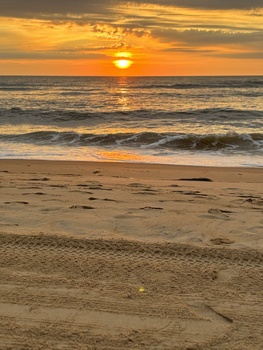 Image "Sunrise scoped out" by Divya Bala