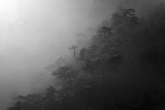 Image "Breath of Winter" by Thomas de Franzoni