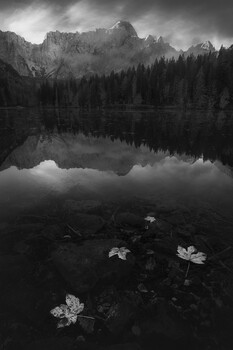 Image "A Brief Eternity " by Thomas de Franzoni