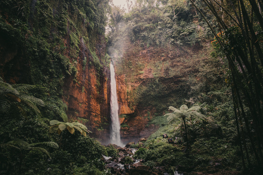View Untitled 5 by daulton Williams