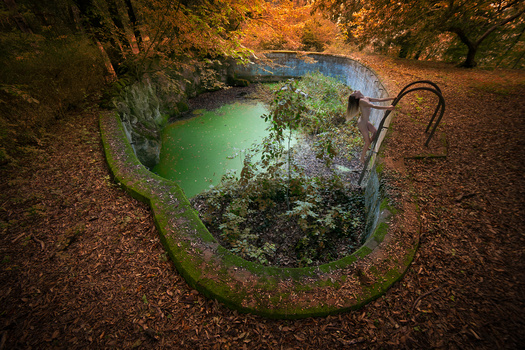 Image "Chanson d'automne" by patrick nicholas