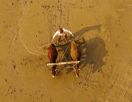 Image "Preparing the Earth." by Md. Arifuzzaman