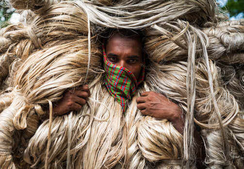 Image "The human of golden fiber." by Md. Arifuzzaman