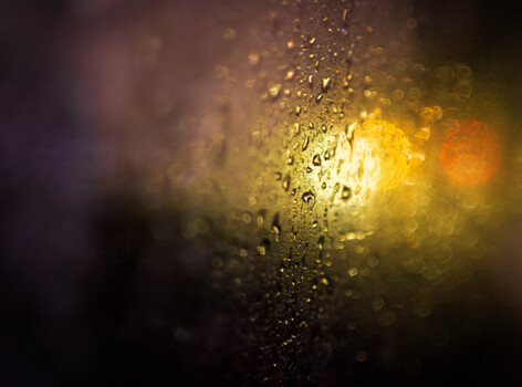 Image "The drop of rain." by Md. Arifuzzaman