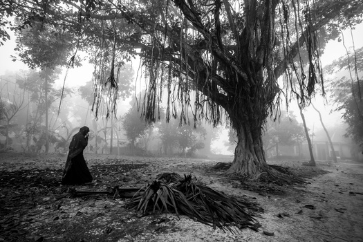The mystic woman. by Md. Arifuzzaman