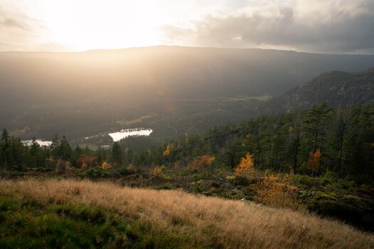 View Untitled 25 by Thomas Skjeggedal