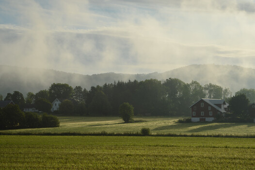 View Untitled 24 by Thomas Skjeggedal