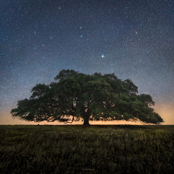 Image "Portugal" by Maria Sustelo