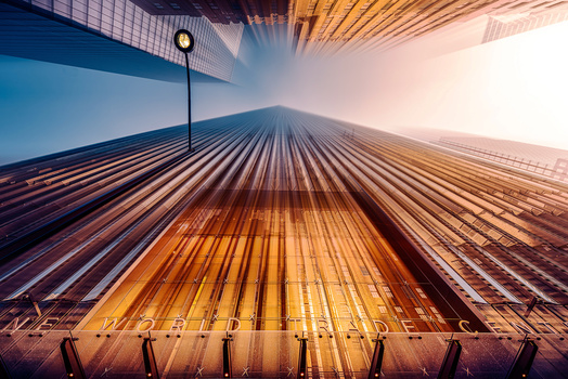 Image "Looking Up" by Alex Hill
