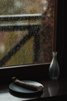 Image "Still in rain" by Paweł Wewiórski