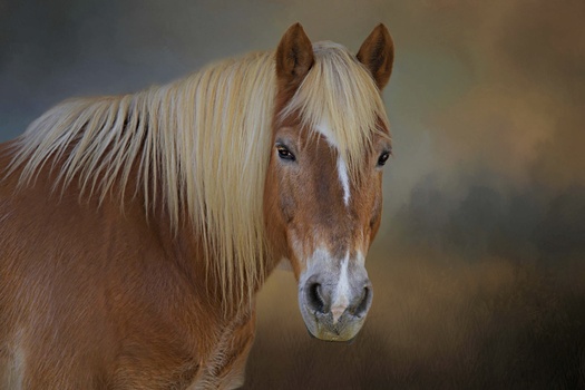 Image "Trigger" by Christina Brown