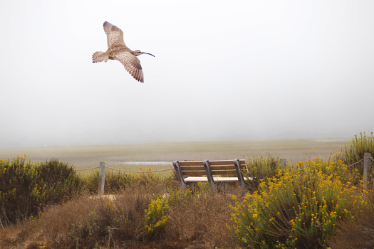 The Empty Bench by Christina Brown