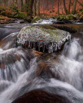 Image "Quiet water" by Danijel Turnšek