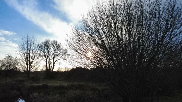 Image "Cloudy sky scene" by Turloch McAllister