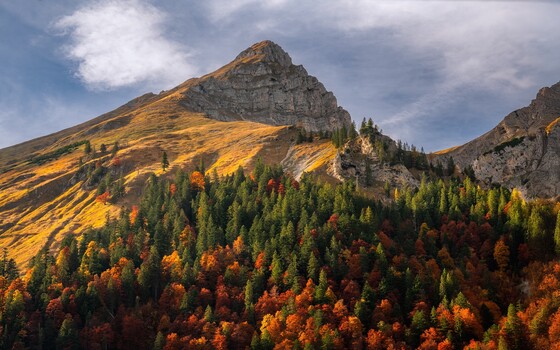 Image "Autumn mountain" by Anastasios Gialopoulos