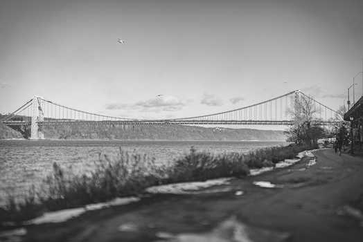 Image "Bridge" by Richard Griola
