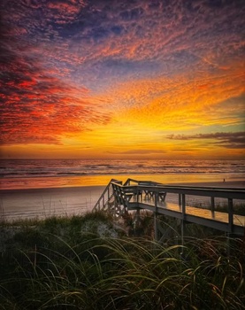 Image "SUNRISE" by SARAH AARANT