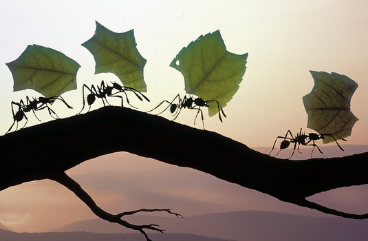 "Off to work we go" by David Dennis