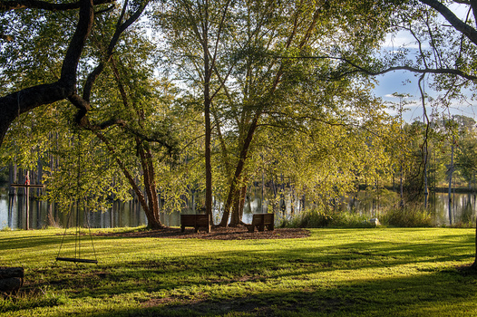 Good morning sunshine! by Rodney Gray