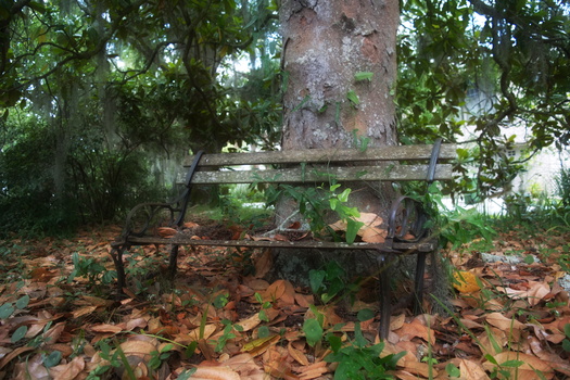 Waiting patiently by Rodney Gray