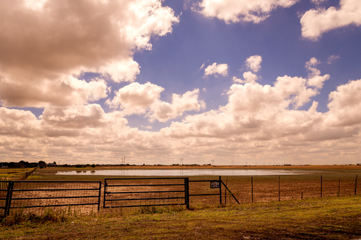 Image "Quiet Day on the Plain" by David Russell
