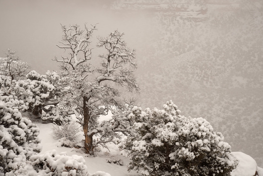 Colorado National Monument by Ed Kunzelman