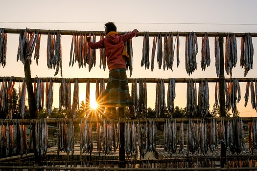 Sun-Dried Stories by MD ARIFUR RAHMAN