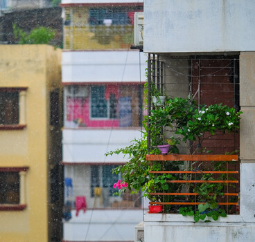 Image "Rain, Green & a Little Corner of Peace" by MD ARIFUR RAHMAN