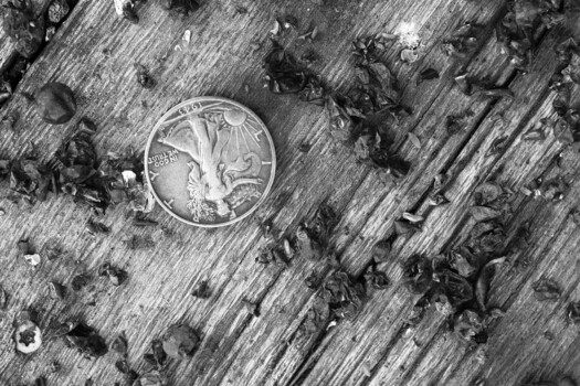 Image "Liberty Inverted, with Rotting Mulberries" by Bradley Skiff