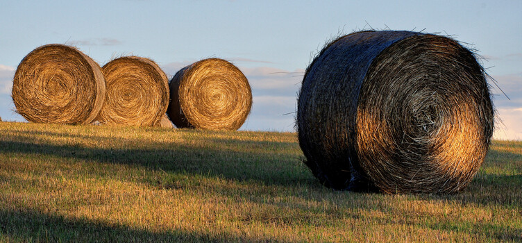 Image "Four Bales" by Bradley Skiff