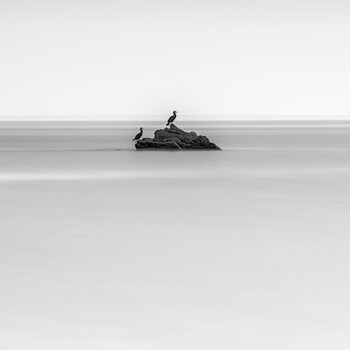 Image "Rock and birds" by av peteghium
