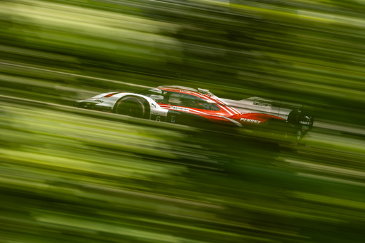 Through the trees by Ryan Carignan