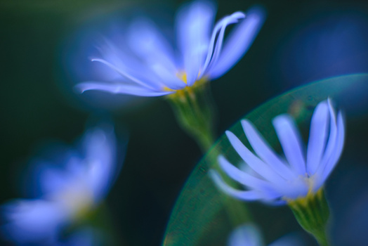 View Untitled by Cristina Runcan