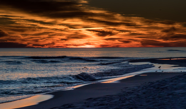 Image "Burnt Orange" by Tim Voruz