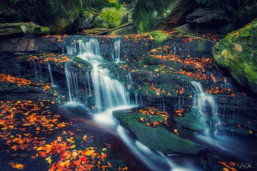 Image "Lower Elakala Falls" by Shane DeLong