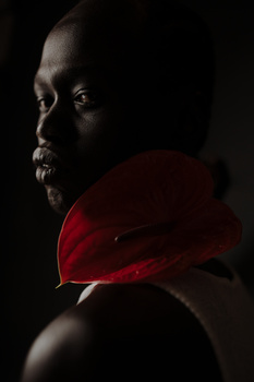 Image "Dhiew" by David Hynes