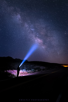 Image "Anybody out there?" by Gerald Macua
