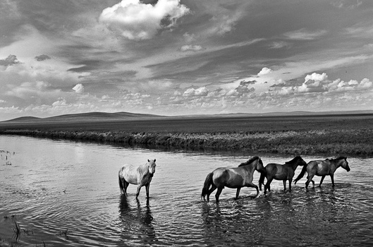 Image "Untitled 1" by Hannah Rose