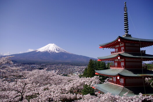 Image "Mt. Fuji and Chureito Pagoda in Cherry Blossom Season" by Kaz Empson
