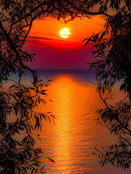 View Untitled 2 by Simon Hoffman