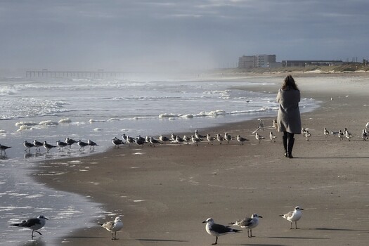 Image "Winter Walk, birds" by Curtis Tanner
