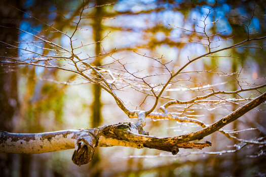 View Nature expansion by Fabiano Gennarelli