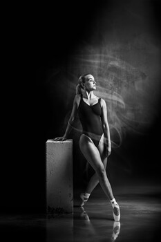 View Untitled 1 by Troy Adams
